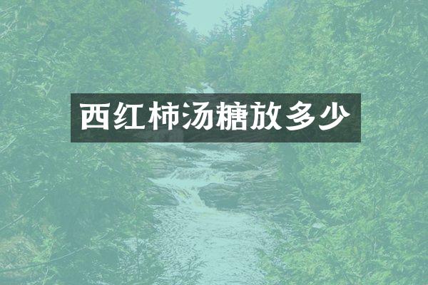 西红柿汤糖放多少