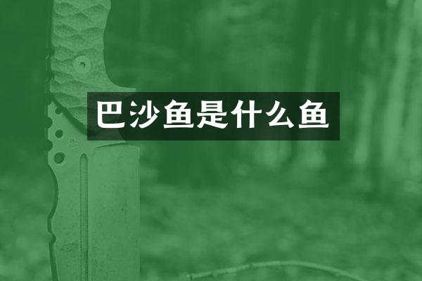 巴沙鱼是什么鱼