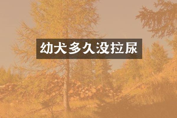 幼犬多久没拉尿