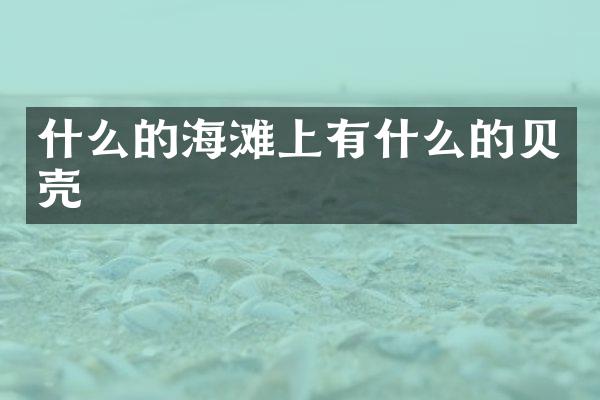 什么的海滩上有什么的贝壳