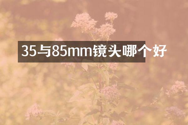 35与85mm镜头哪个好