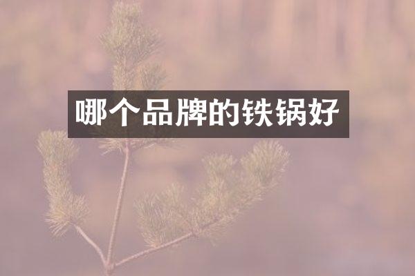 哪个品牌的铁锅好