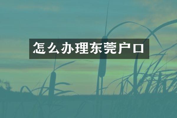 怎么办理东莞户口