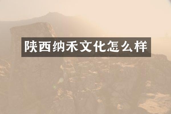 陕西纳禾文化怎么样