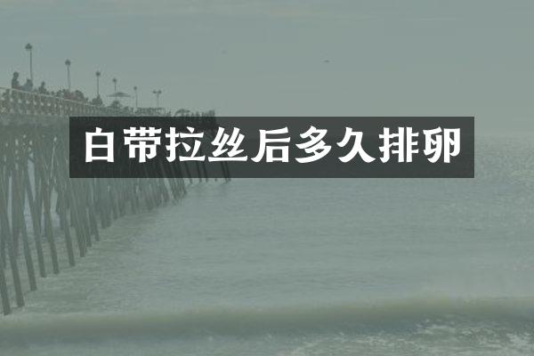 白带拉丝后多久排卵