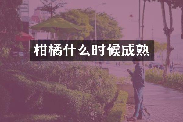 柑橘什么时候成熟