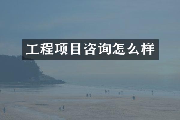 工程项目咨询怎么样