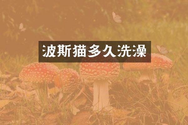 波斯猫多久洗澡