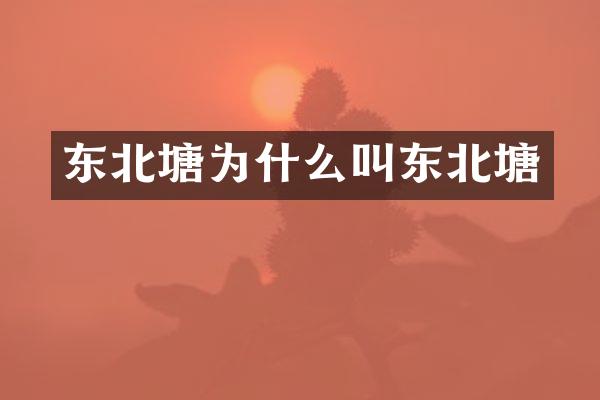 东北塘为什么叫东北塘