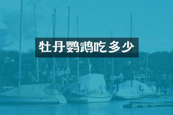 牡丹鹦鹉吃多少