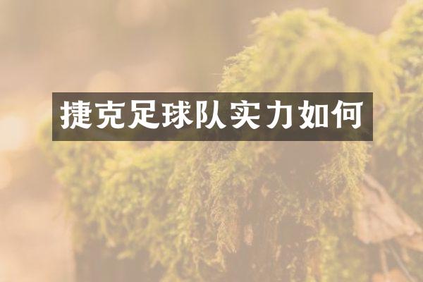 捷克足球队实力如何