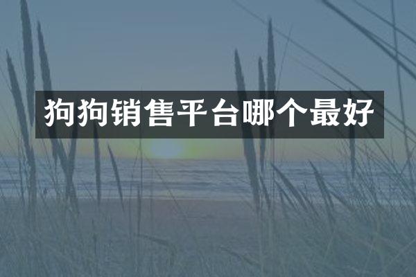 狗狗销售平台哪个最好