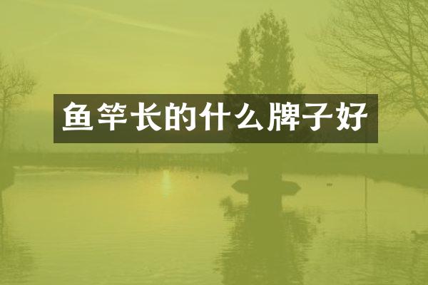 鱼竿长的什么牌子好