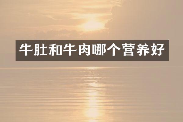 牛肚和牛肉哪个营养好