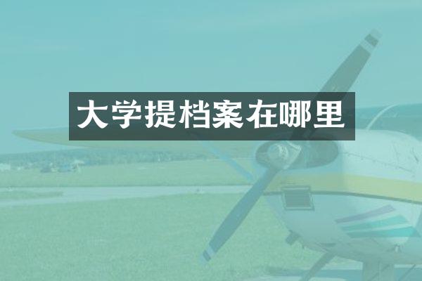 大学提档案在哪里