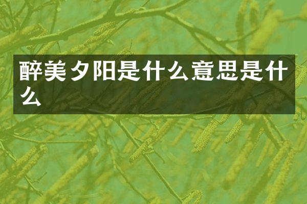 醉美夕阳是什么意思是什么