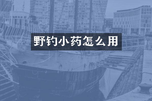 野钓小药怎么用