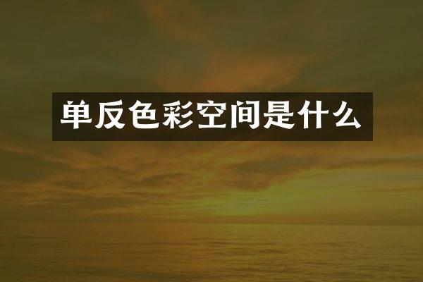 单反色彩空间是什么
