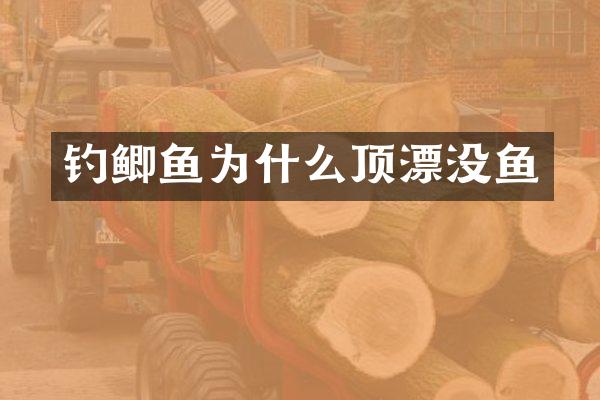 钓鲫鱼为什么顶漂没鱼