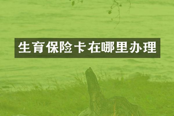 生育保险卡在哪里办理