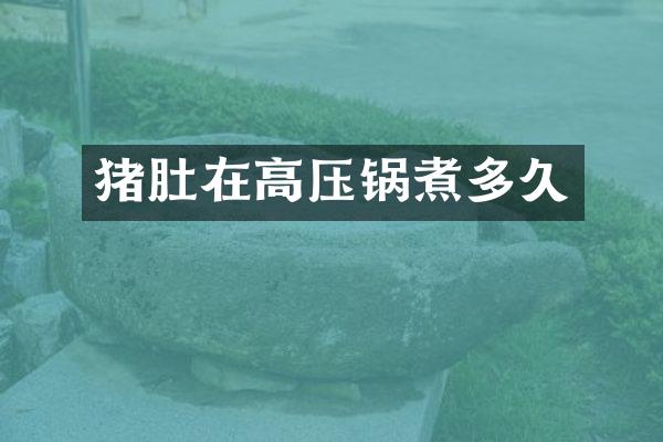 猪肚在高压锅煮多久