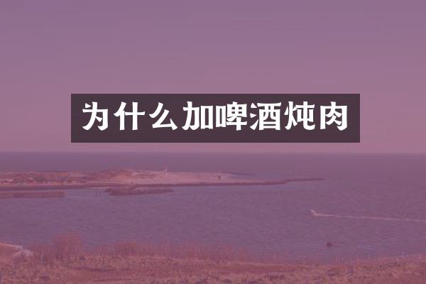 为什么加啤酒炖肉