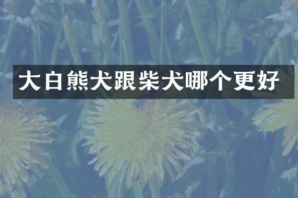 大白熊犬跟柴犬哪个更好