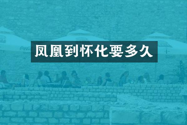 凤凰到怀化要多久