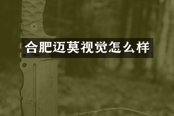 合肥迈莫视觉怎么样