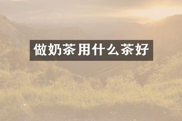 做奶茶用什么茶好