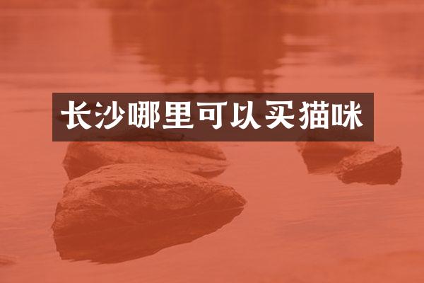 长沙哪里可以买猫咪