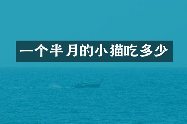一个半月的小猫吃多少