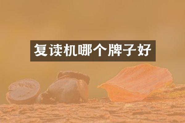复读机哪个牌子好