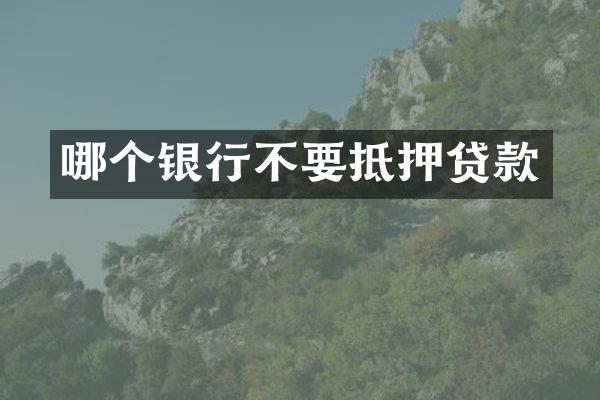 哪个银行不要抵押贷款