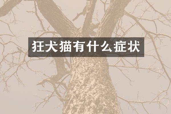 狂犬猫有什么症状