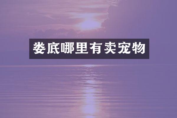 娄底哪里有卖宠物