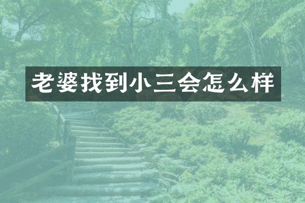 老婆找到会怎么样