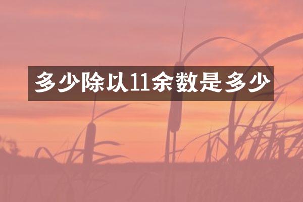 多少除以11余数是多少