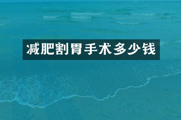 减肥割胃手术多少钱