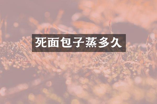 死面包子蒸多久