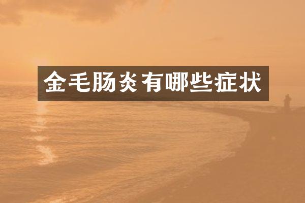 金毛肠炎有哪些症状