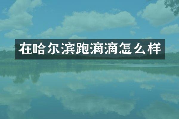 在哈尔滨跑滴滴怎么样