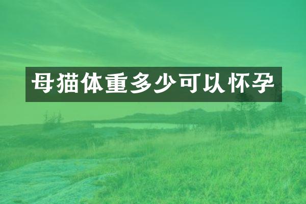 母猫体重多少可以怀孕