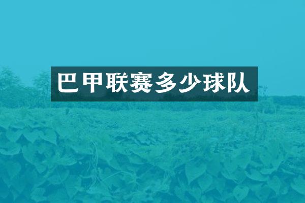 巴甲联赛多少球队
