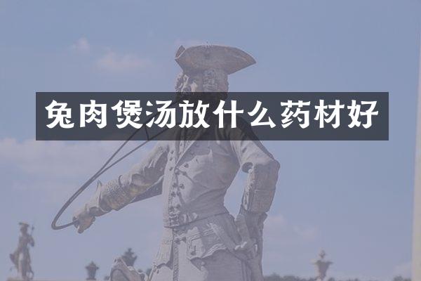 兔肉煲汤放什么药材好