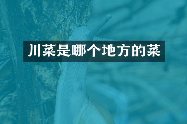 川菜是哪个地方的菜