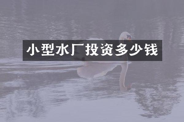 小型水厂投资多少钱