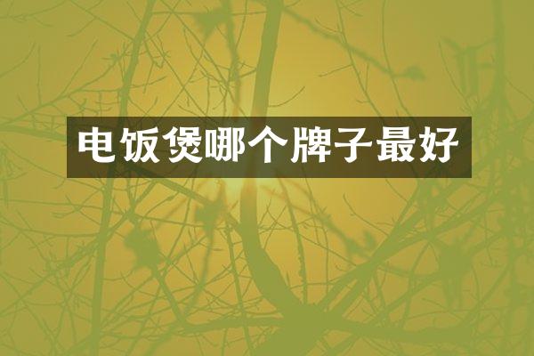 电饭煲哪个牌子最好