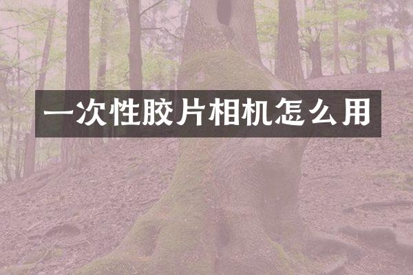 一次性胶片相机怎么用