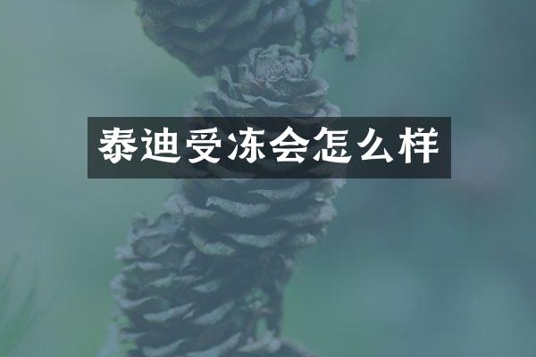 泰迪受冻会怎么样